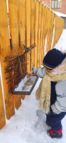 Международный день кормления птиц Международный день кормления птиц.